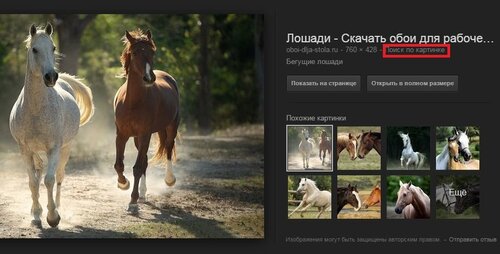 Поиск по картинке.JPG