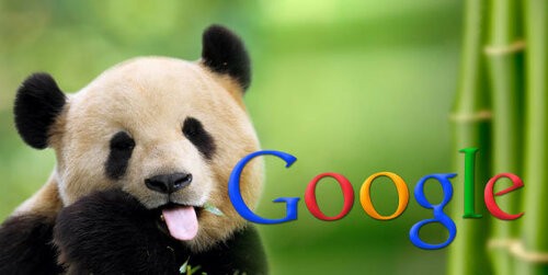 google-panda.jpg