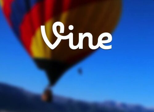 vine-logo.jpg