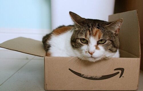 amazonshipcat4_616.jpg