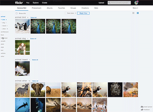 flickr_magic-view.gif