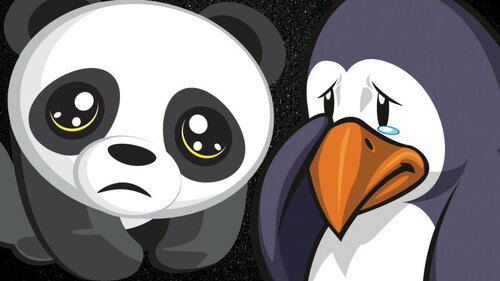 panda-penguin-sad-ss-1920-800x450.jpg