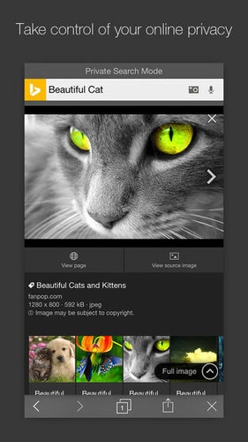 Bing-ios-app-private-search-mode.jpg
