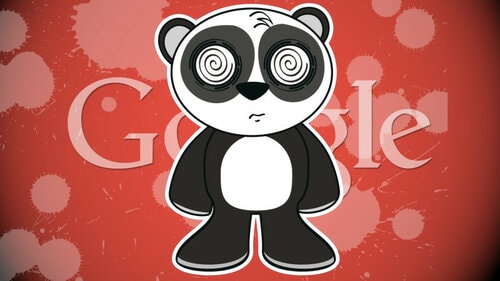 google-panda-hurt-confused3-ss-1920-800x450.jpg