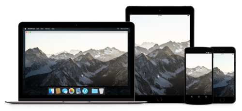 responsive-devices-ipad-2x.png
