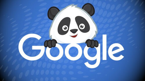 google-panda-name3-ss-1920-800x450.jpg