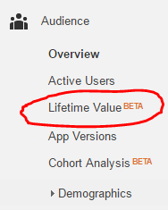google-analytics-lifetime-value-1459251402.png