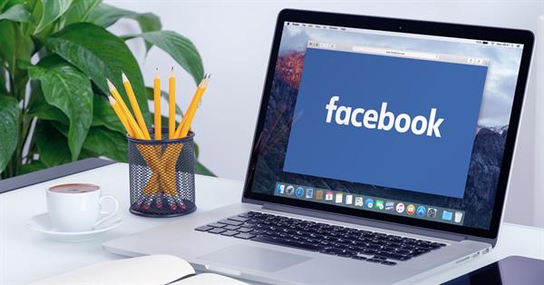 In the Facebook search results panel appears with the information from Wikipedia